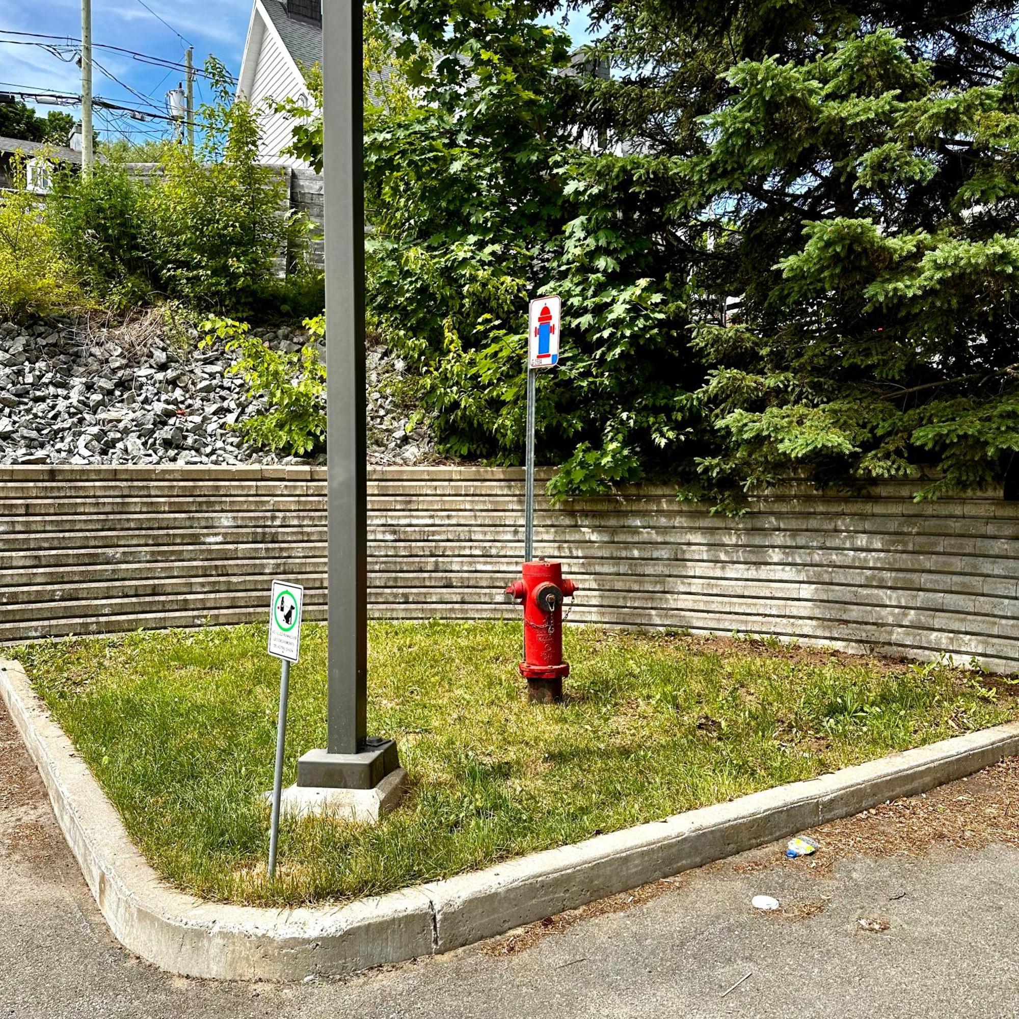 Initial - Moose - Chutes-Montmorency Boischatel Exterior foto